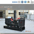 8kw 10kv Yangdong Open Type Diesel Generator with Good Quality